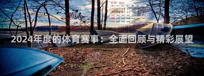 2024年度的体育赛事：全面回顾与精彩展望