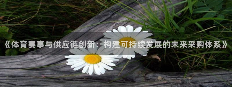《体育赛事与供应链创新：构建可持续发展的未来采购体系》