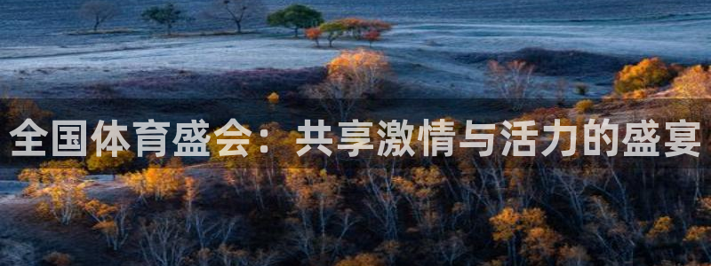 全国体育盛会：共享激情与活力的盛宴