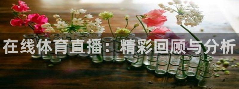 在线体育直播：精彩回顾与分析
