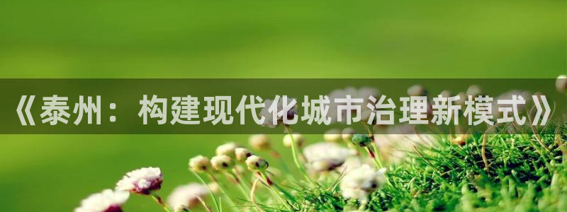 《泰州：构建现代化城市治理新模式》