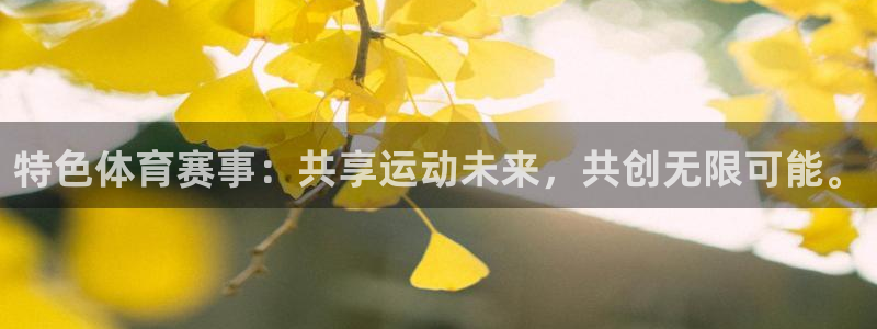 特色体育赛事：共享运动未来，共创无限可能。
