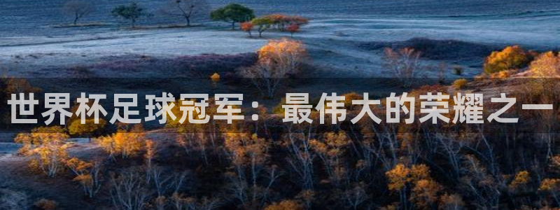 世界杯足球冠军：最伟大的荣耀之一