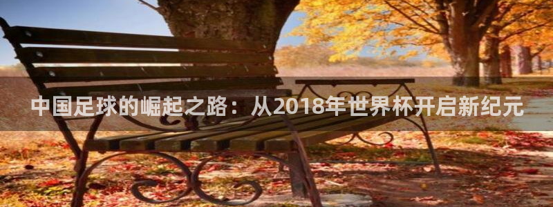 中国足球的崛起之路：从2018年世界杯开启新纪元