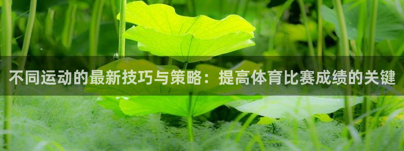 不同运动的最新技巧与策略：提高体育比赛成绩的关键
