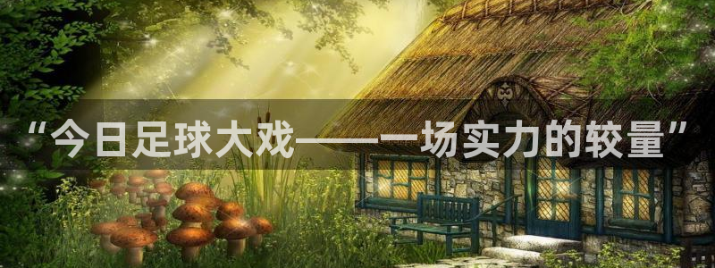 “今日足球大戏——一场实力的较量”