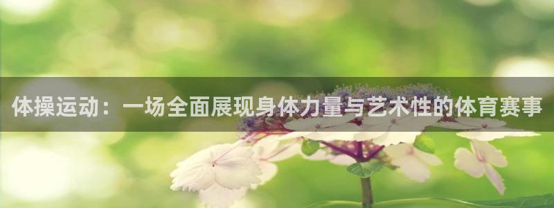 体操运动：一场全面展现身体力量与艺术性的体育赛事