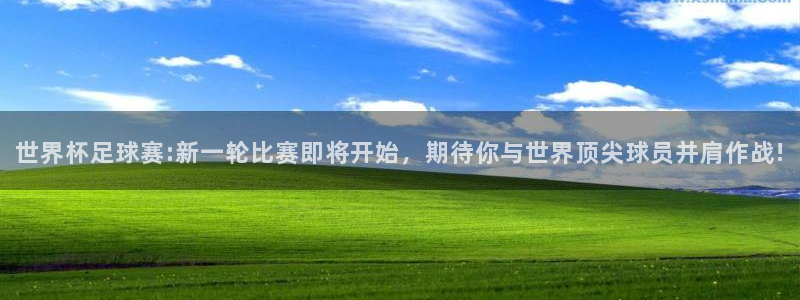 世界杯足球赛:新一轮比赛即将开始，期待你与世界顶尖球员并肩作战!