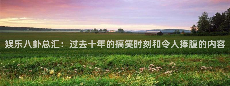娱乐八卦总汇：过去十年的搞笑时刻和令人捧腹的内容