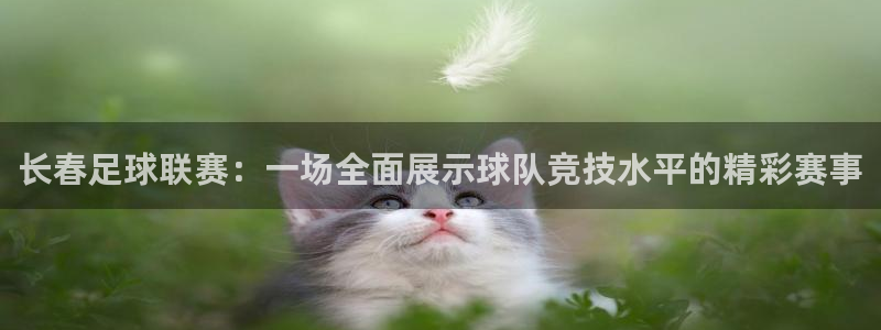 长春足球联赛：一场全面展示球队竞技水平的精彩赛事