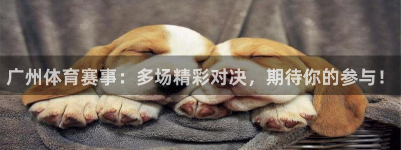 广州体育赛事：多场精彩对决，期待你的参与！