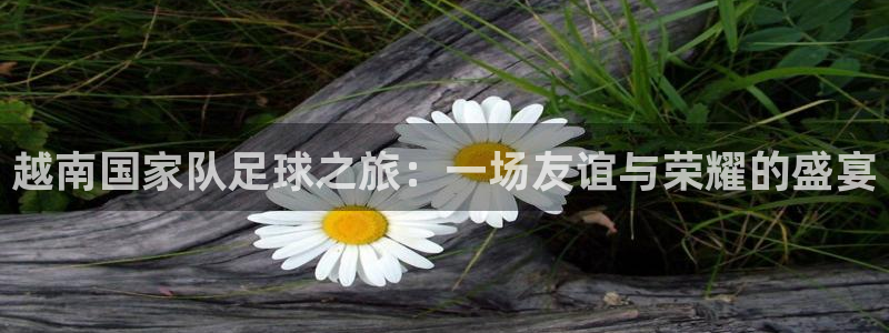 越南国家队足球之旅：一场友谊与荣耀的盛宴